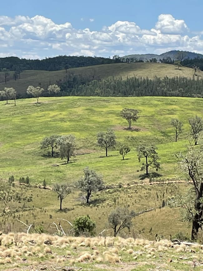 Lot 9 Silver Spur Redgate Road Silver Spur QLD 4385 Lot 9 Silver Spur Redgate Road Silver Spur QLD 4385