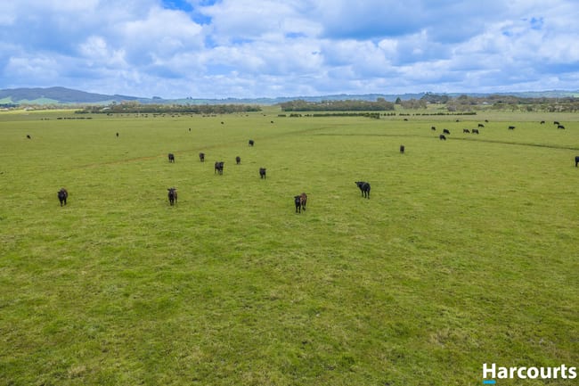 Lot 2, 515 Fullers Road Foster VIC 3960