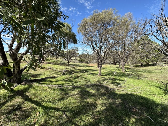 Lot 1 Highland Road Monarto SA 5254 Lot 1 Highland Road Monarto SA 5254