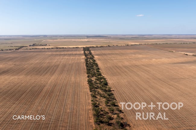 833 Walshs Bore Road Copeville SA 5308 833 Walshs Bore Road Copeville SA 5308