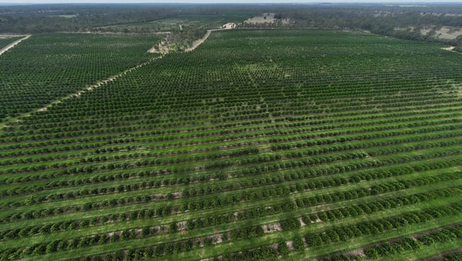Bucca QLD 4670