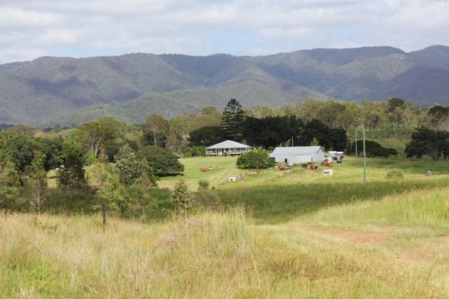 1097 Blackman Gap Road Colosseum QLD 4677