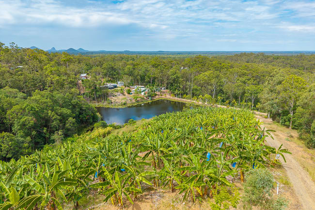 349 Jackson Road Wamuran QLD 4512