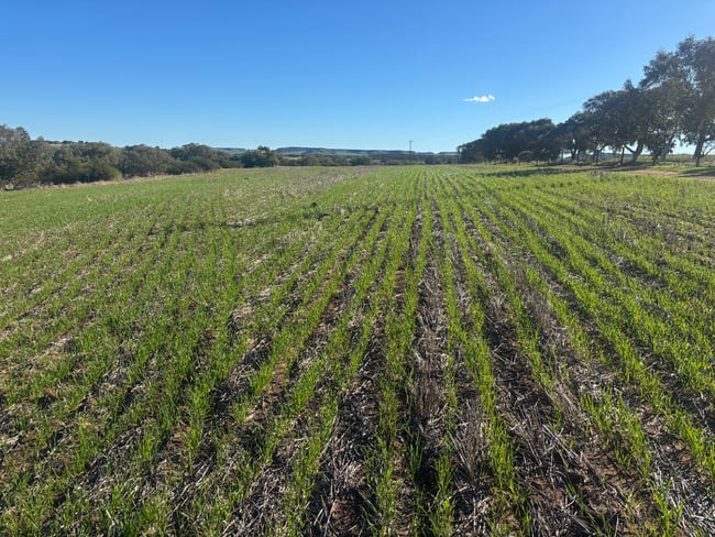 Lot 1 Giles Road Moonyoonooka WA 6532 Lot 1 Giles Road Moonyoonooka WA 6532