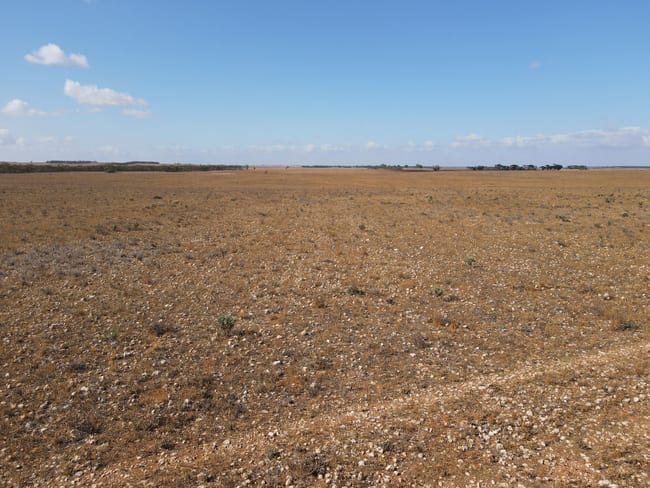 Lot 1 Schulzs Road Black Hill SA 5353