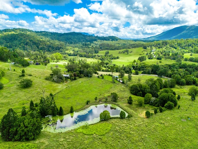 219 Stony Chute Road Nimbin NSW 2480 219 Stony Chute Road Nimbin NSW 2480