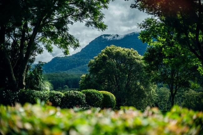 2165 Waterfall Way Thora NSW 2454 2165 Waterfall Way Thora NSW 2454