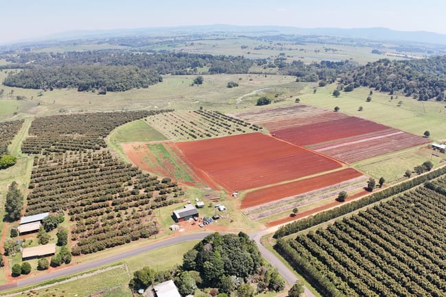 767 Peeramon Road Peeramon QLD 4885