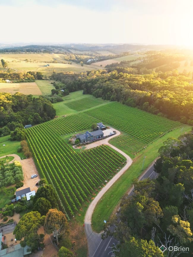 120 Arthurs Seat Road Red Hill VIC 3937 120 Arthurs Seat Road Red Hill VIC 3937