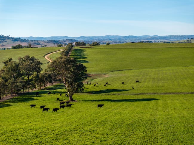 478 Illawong Road Jugiong NSW 2726 478 Illawong Road Jugiong NSW 2726