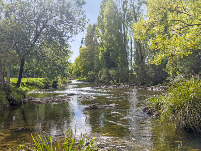 443 Howes Creek-Goughs Bay Road Goughs Bay VIC 3723
