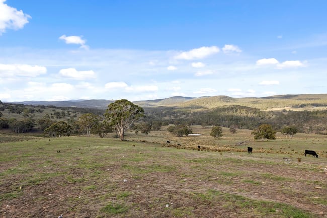 507 Harolds Cross Road Braidwood NSW 2622
