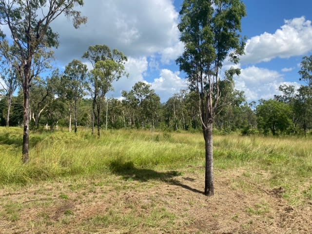 Lot 21 Exmoor Road Bloomsbury QLD 4799