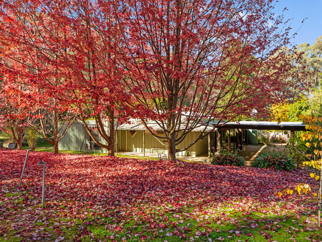 684 Tames Road Strathbogie VIC 3666 684 Tames Road Strathbogie VIC 3666