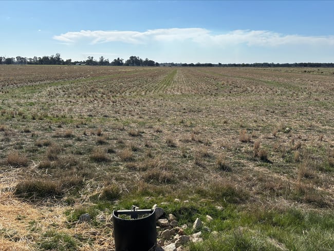 Lot 2 Koondrook-Murrabit Road, Koondrook VIC 3580 Lot 2 Koondrook-Murrabit Road, Koondrook VIC 3580