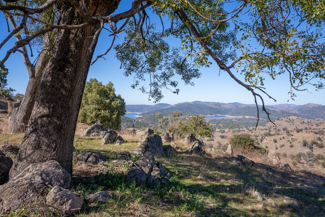 2656 Reg Hailstone Way Wyangala NSW 2808 2656 Reg Hailstone Way Wyangala NSW 2808