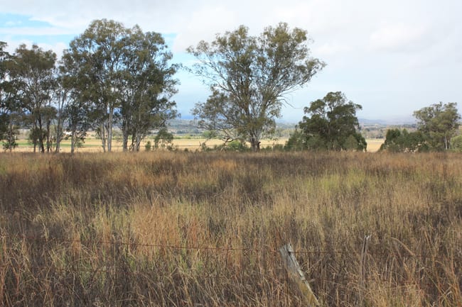 9372 Mt Lindesay Road Tamrookum QLD 4285