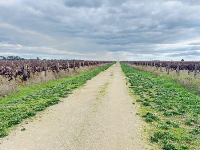 Lot 2/322 Giles Rd Coonawarra SA 5263