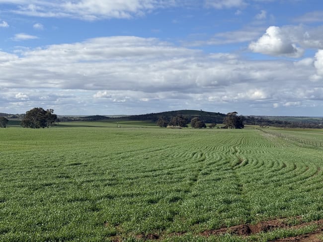 141/ Eudunda Road Frankton SA 5374 141/ Eudunda Road Frankton SA 5374
