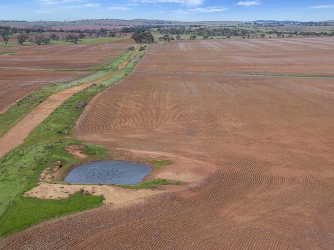 141/ Eudunda Road Frankton SA 5374 141/ Eudunda Road Frankton SA 5374
