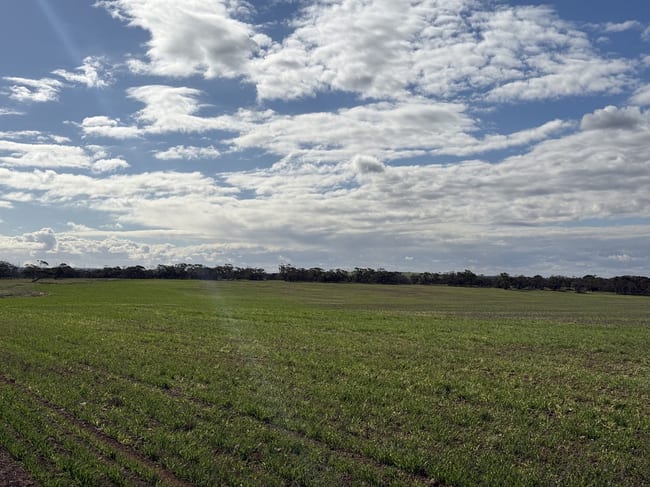 305/ Goyder Road Neales Flat SA 5374 305/ Goyder Road Neales Flat SA 5374
