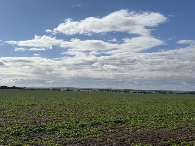 25/ Brownlow Road Neales Flat SA 5374 25/ Brownlow Road Neales Flat SA 5374
