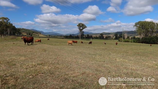 1459 Christmas Creek Road Christmas Creek QLD 4285 1459 Christmas Creek Road Christmas Creek QLD 4285