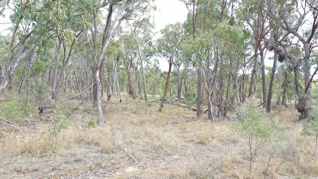 Lot 3 Halls Creek Road Halls Creek NSW 2346 Lot 3 Halls Creek Road Halls Creek NSW 2346