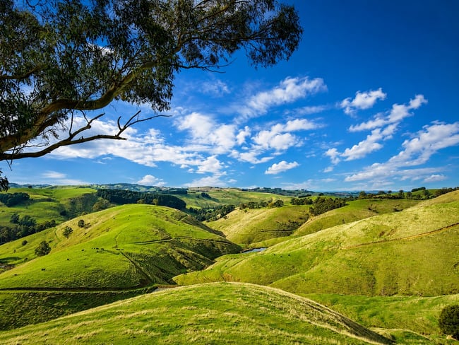 86 McNaughtons Road Wild Dog Valley VIC 3953