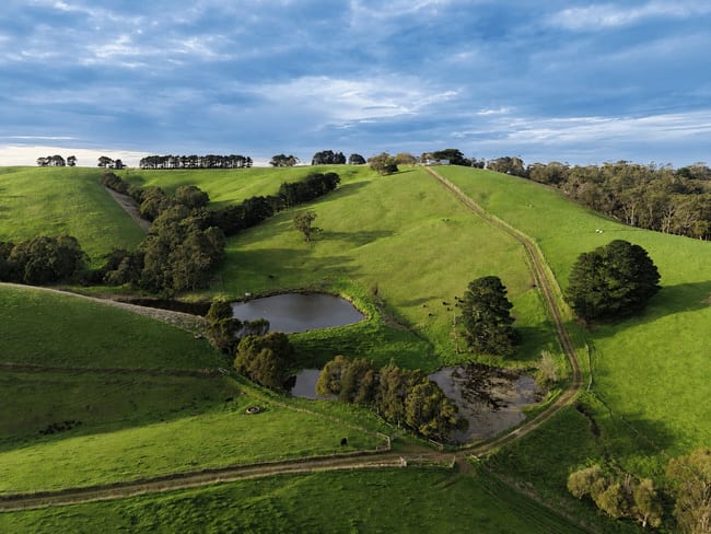 255 Buffalo North Road Buffalo VIC 3958