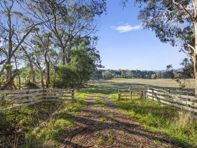 177 Steens Road Boho South VIC 3669