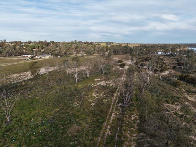 Lot/101 Marks Landing Shack Road Swan Reach SA 5354 Lot/101 Marks Landing Shack Road Swan Reach SA 5354