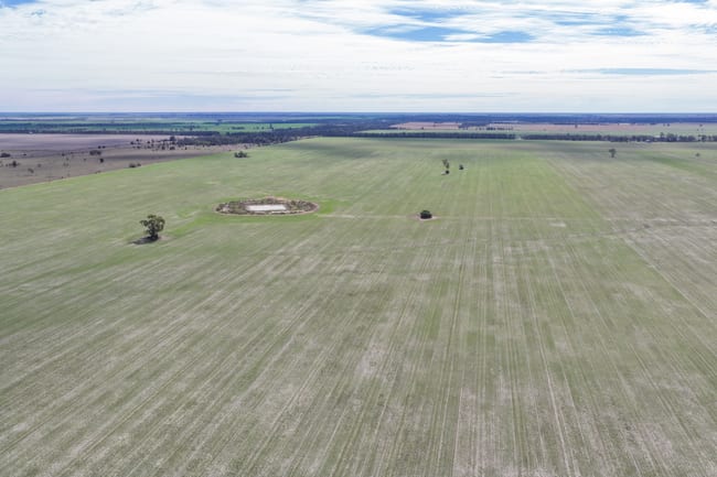 26446 Newell Highway Moree NSW 2400 26446 Newell Highway Moree NSW 2400