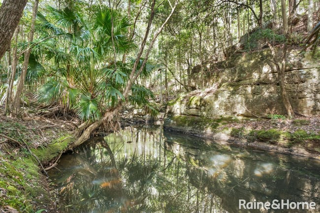 935 Illaroo Road Tapitallee NSW 2540 935 Illaroo Road Tapitallee NSW 2540