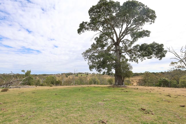 213 Kings Hill Road Highgrove QLD 4352