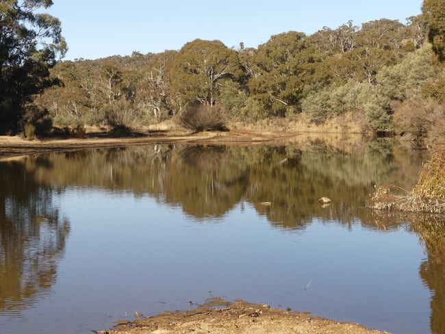 588 Beresford Road Numeralla NSW 2630