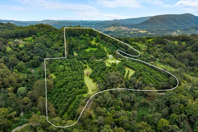 1005 TUNTABLE CREEK ROAD Nimbin NSW 2480