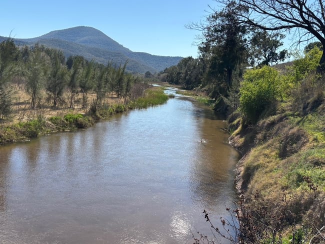 560 Mt Dangar Road Baerami NSW 2333