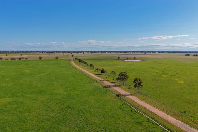 "Greendale" 536 Wyrra Lane West Wyalong NSW 2671 "Greendale" 536 Wyrra Lane West Wyalong NSW 2671