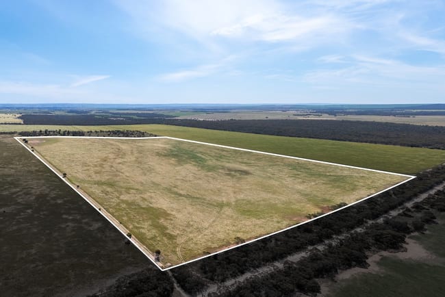 1681 Boundary Road Burdett SA 5253
