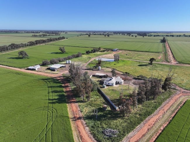 'Cleveland' 163 Holzigals Road Finley NSW 2713 'Cleveland' 163 Holzigals Road Finley NSW 2713