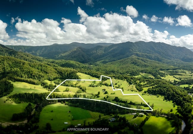 2791 Waterfall Way Thora NSW 2454 2791 Waterfall Way Thora NSW 2454