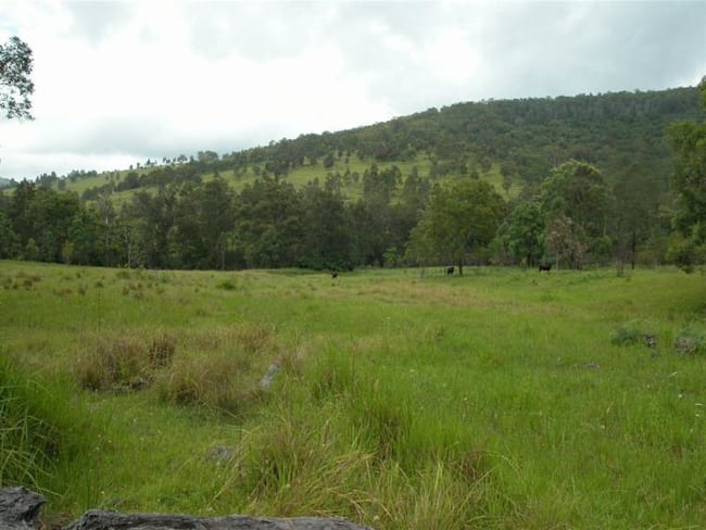 Charity Creek NSW 2424