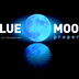 Blue Moon Property Cooroy