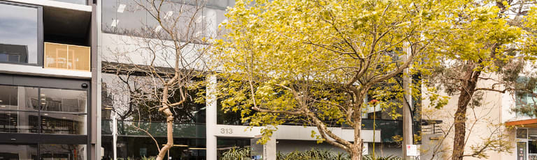 Offices commercial property for lease at 313 Burwood Road Hawthorn VIC 3122