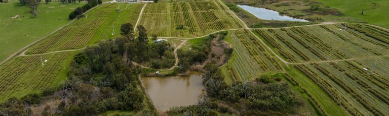 Rural / Farming commercial property for sale at 134 Taradale Road Courabyra NSW 2653