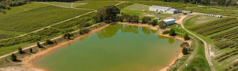 Rural / Farming commercial property for sale at 318 Berry Road Rosewood NSW 2652