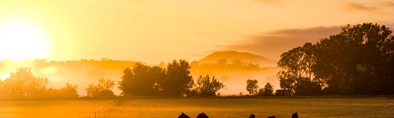 Factory, Warehouse & Industrial commercial property for lease at 1-5 Fenning Place Bennetts Green NSW 2290