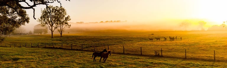 Factory, Warehouse & Industrial commercial property for lease at 1-5 Fenning Place Bennetts Green NSW 2290