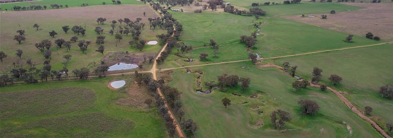 Rural / Farming commercial property for sale at Murringo NSW 2586